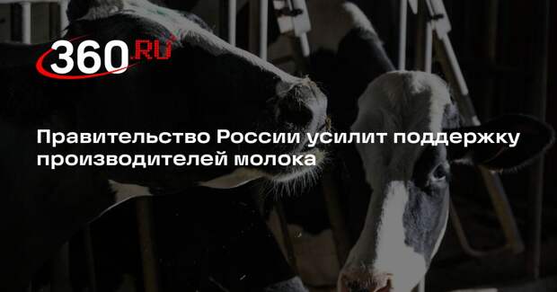 Правительство России усилит поддержку производителей молока