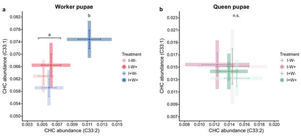 Рис. 2. Относительное количество кутикулярных углеводородов C33:1 и C33:2 у куколок рабочих (слева, Worker pupae) и цариц (справа, Queen pupae) в восьми вариантах опыта