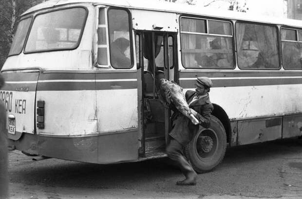 Эпоха развитого социализма в великолепных фотографиях Эпоха развитого социализма в великолепных фотографиях былое, прошлое, факт, фото, фотографии