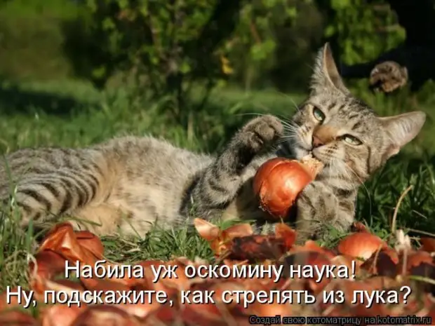 Мысли вслух :) 23 пушистые мыслишки