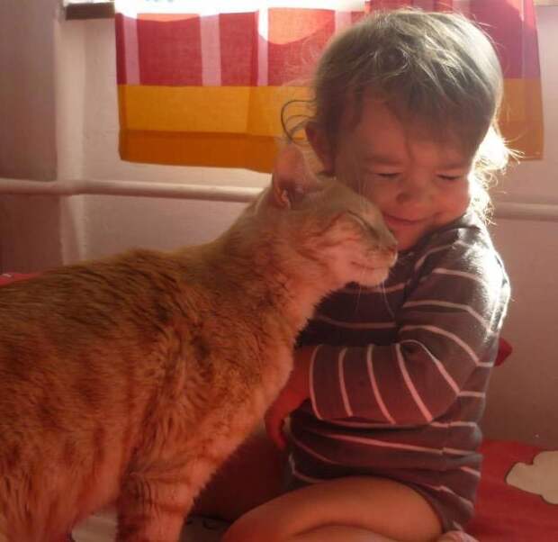 дети и коты, ребёнок и кот, kids with cats