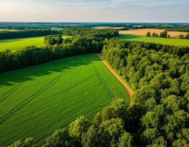 Армавирский суд вернул государству 6 га земли и недвижимость в Архызе