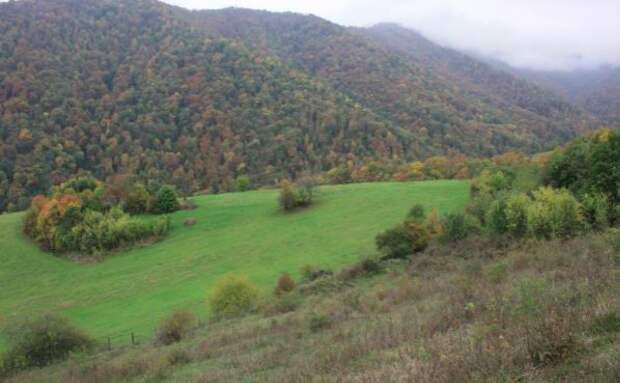 Местность, где была обнаружена могила