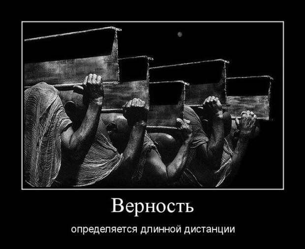 Демотиваторы (30 фото)