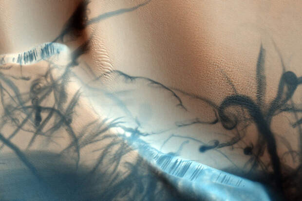 Пыльные дьяволы оставляют на поверхности Марса следы, похожие на татуировки
