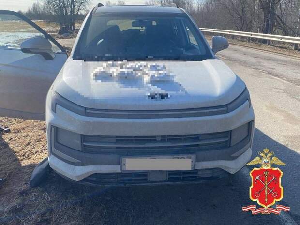 В Ленобласти в каршеринге нашли более трех килограммов запрещенных веществ