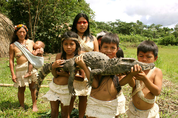 Ваорани. Проживают на территории восточного Эквадора. Численность не превышает 4 тыс. человек. (Yasuni Waorani)