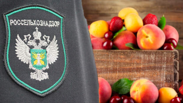 Россельхознадзор обнаружил пятикратное превышение пестицидов во фруктах и овощах из Армении