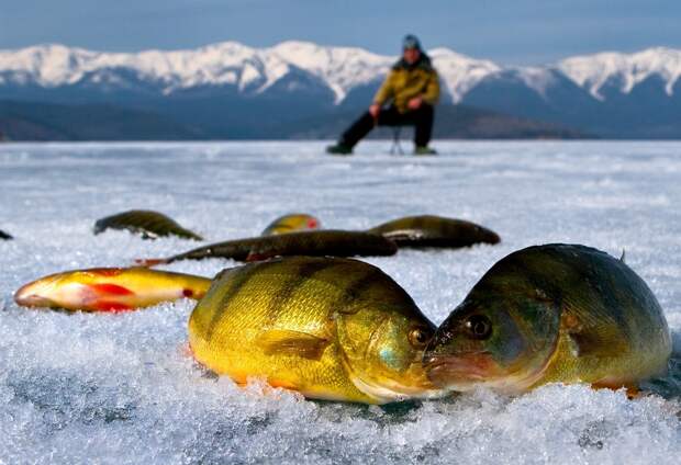 baikal_fishing_chivirkuy