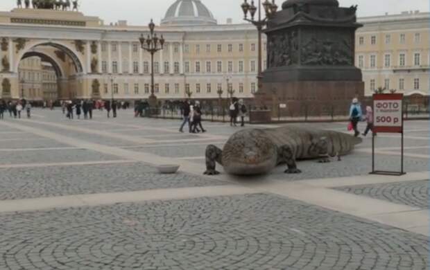 Видео гигантского ящера на Дворцовой площади появилось в Сети