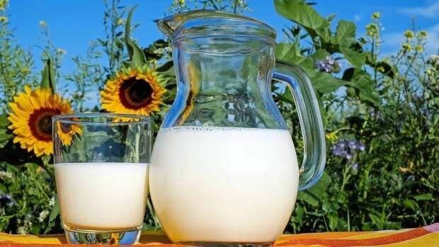 Употребление молока может усугубить симптомы страдающих рассеянным склерозом людей