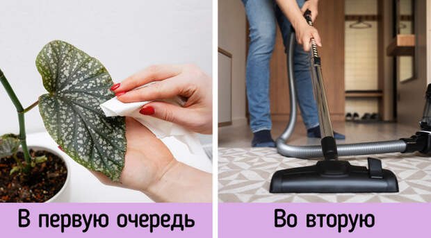 10+ хитростей по уборке от профессиональных клинеров, которые на наведении порядка собаку съели