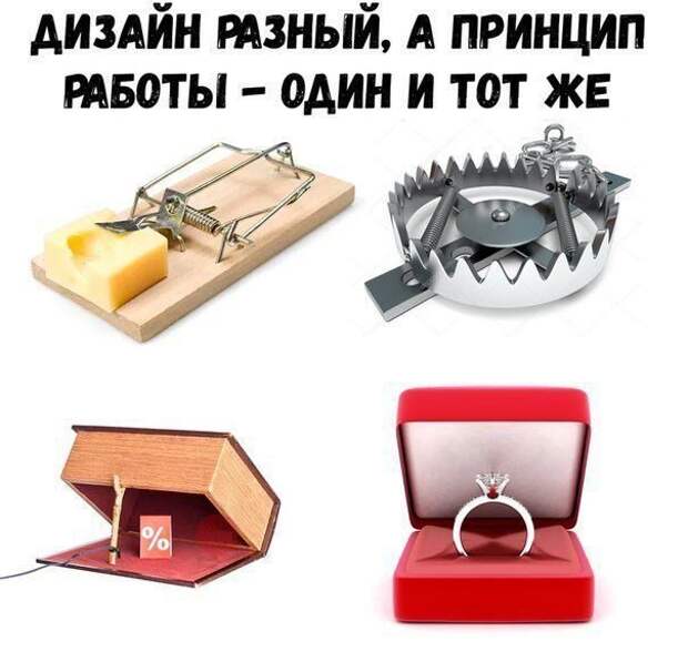 Прикольные картинки-21 фото-