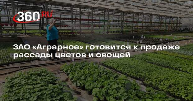 ЗАО «Аграрное» готовится к продаже рассады цветов и овощей