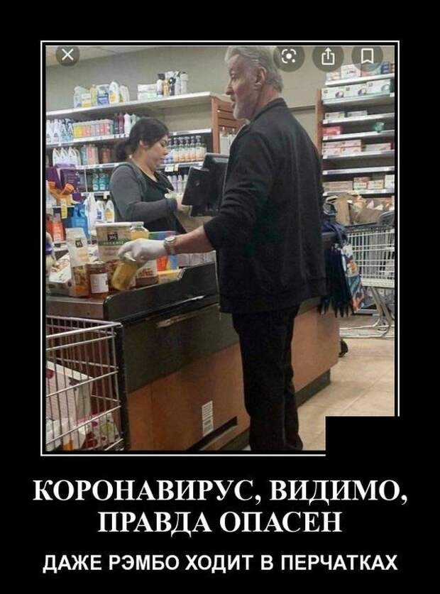 demotivatory-kartinki-smeshnye-kartinki-fotoprikoly