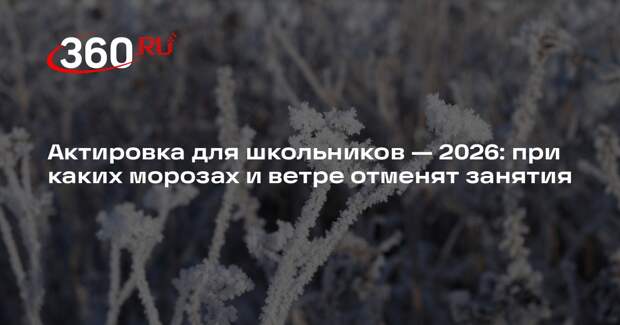 Врач Волкова объяснила, почему нельзя пускать детей в школу в дни актировки