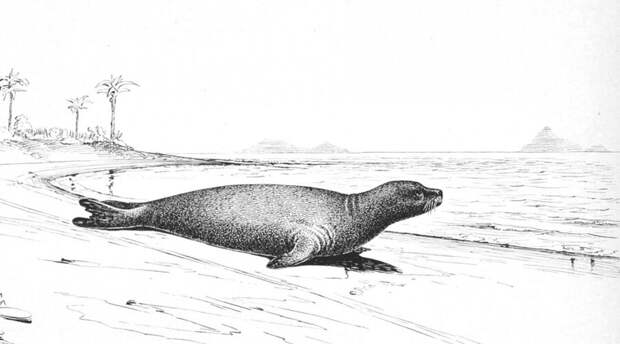 Ученые собираются возродить исчезнувшие виды животных