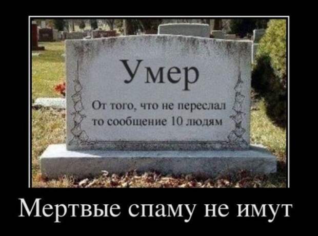 Прикольные демотиваторы (25 шт)