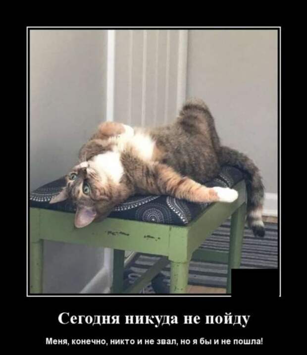 Демотиваторы. Подборка chert-poberi-chert-poberi-14250805052020-5 картинка chert-poberi-14250805052020-5