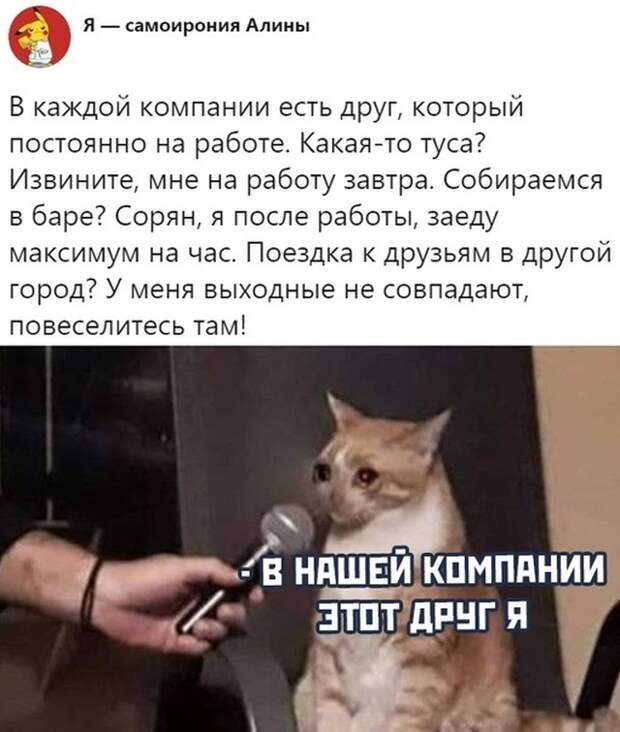 Подборка картинок. Вечерний выпуск (30 фото)