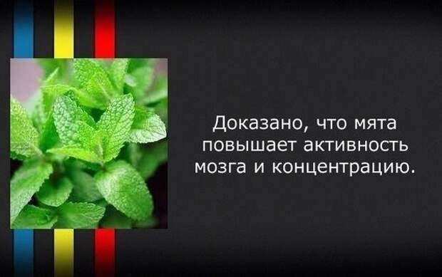 Новые факты о привычных вещах Новые факты о привычных вещах