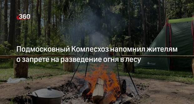 Подмосковный Комлесхоз напомнил жителям о запрете на разведение огня в лесу