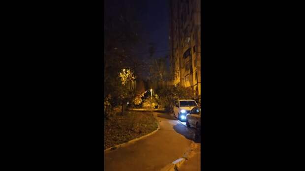 Video: com.bongasoft.addremovewatermark_VID_20241103_132130_948.mp4
