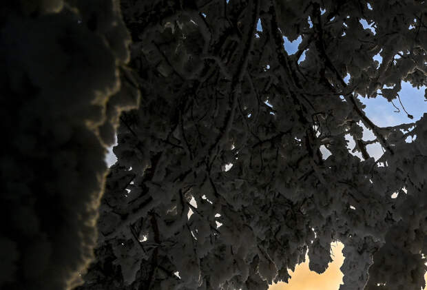 Следователи ответили на новость о найденной семье Усольцевых