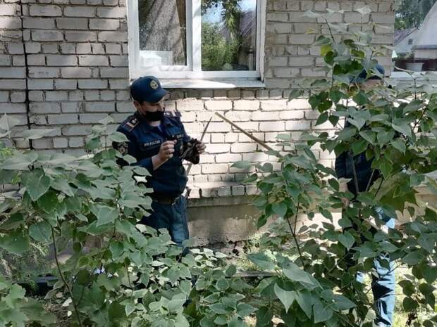 В Тверской области сотрудники МЧС спасли обезвоженного стрижа