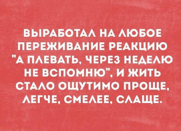 Несколько веселых историй