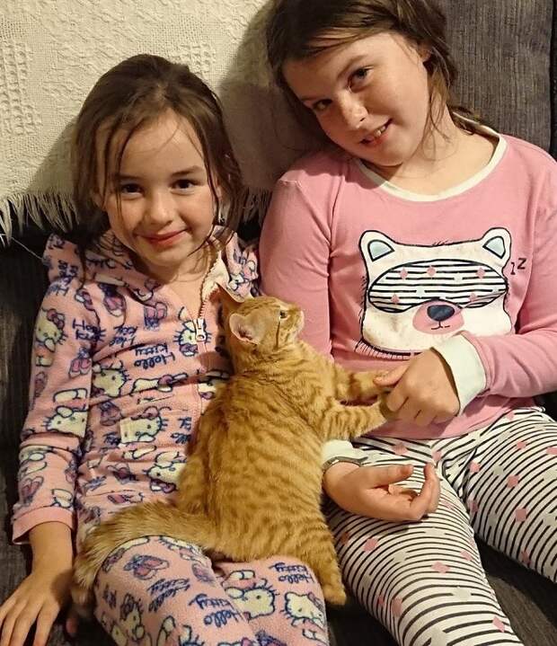 Девочки с котенком