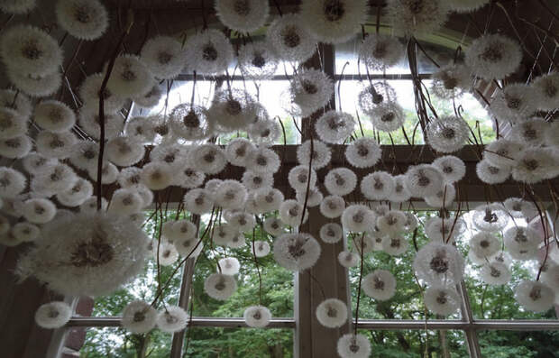 Подвесной потолок из одуванчиков от Регин Рамзайер (18 фото)