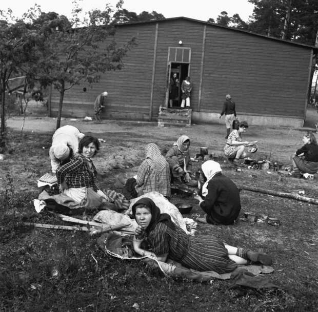 Врата ада: Освобождение лагеря Берген-Бельзен, апрель 1945 год