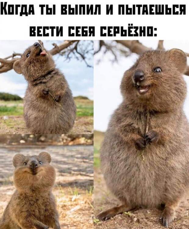 Я терзв Я терзв