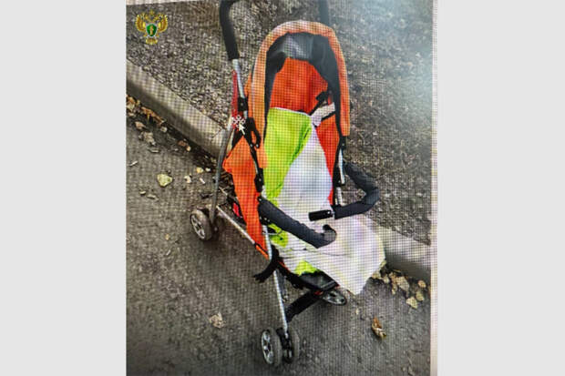 Россиянка решила наладить личную жизнь и толкнула коляску с дочерью под автомобиль