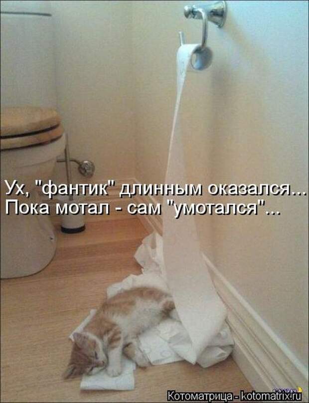 Котоматрицы (картинки с надписями)