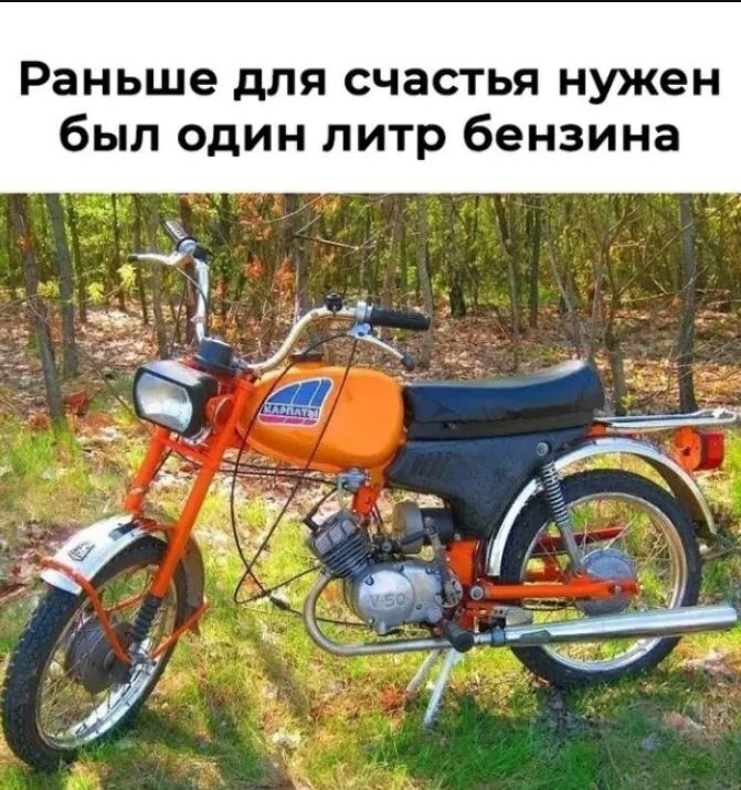 Улыбайтесь вместе с нами: смешные картинки с уморительными надписями, которые покажут вам мир в ярких красках!