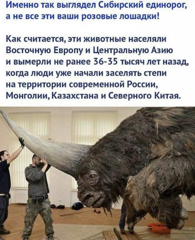 Лучшие шутки и мемы из Сети