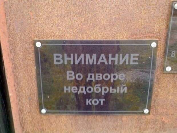 25 гениальных объявлений 2014 года объявления, смешно