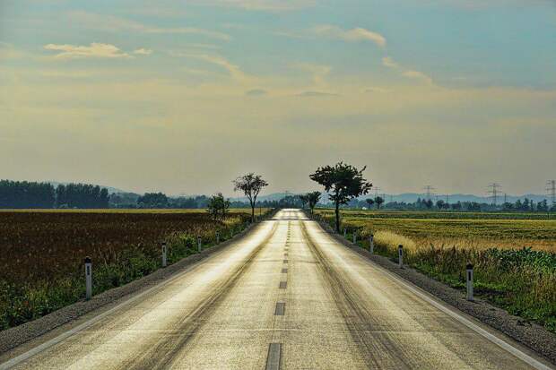 Фото: pixabay.com