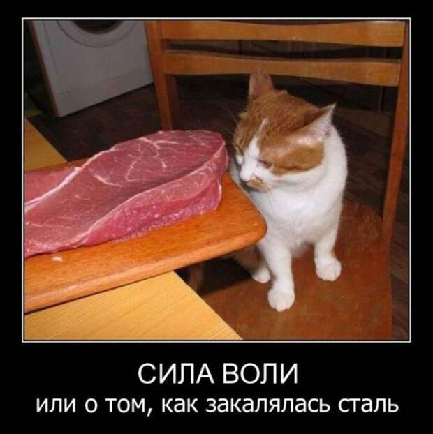 Демотиваторы смех, демотиваторы, прикол, юмор