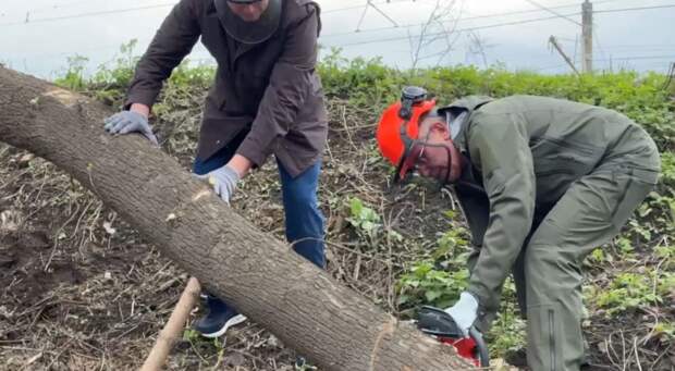 Губернатор Тулы спиливает деревья на набережной Упы в рамках субботника