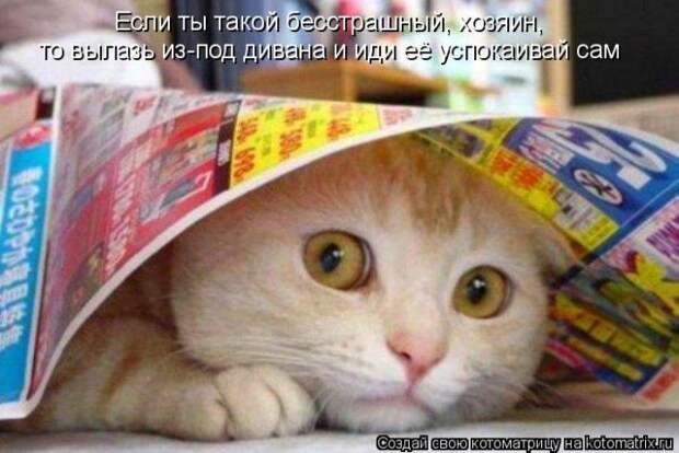 Мысли вслух :)