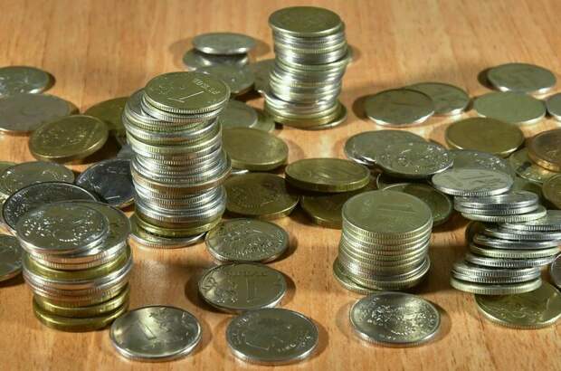 Должников предложили защитить от чрезмерных ограничений