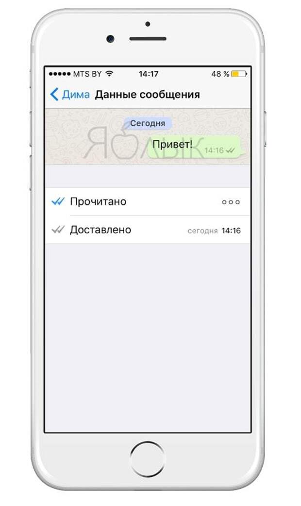 10 полезных опций WhatsApp, которые следует знать каждому