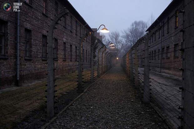 Освенцим в наши дни