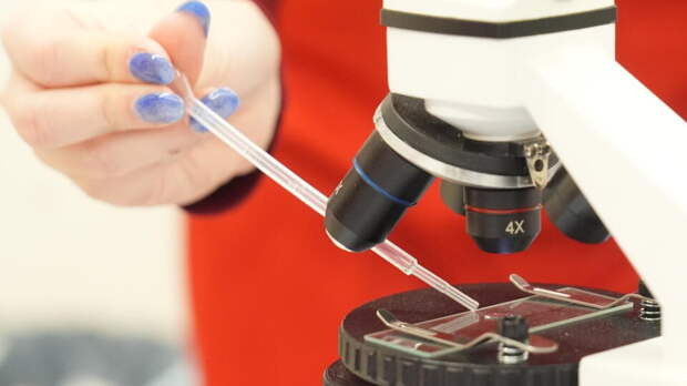 В России зарегистрировали новый тест на стафилококк