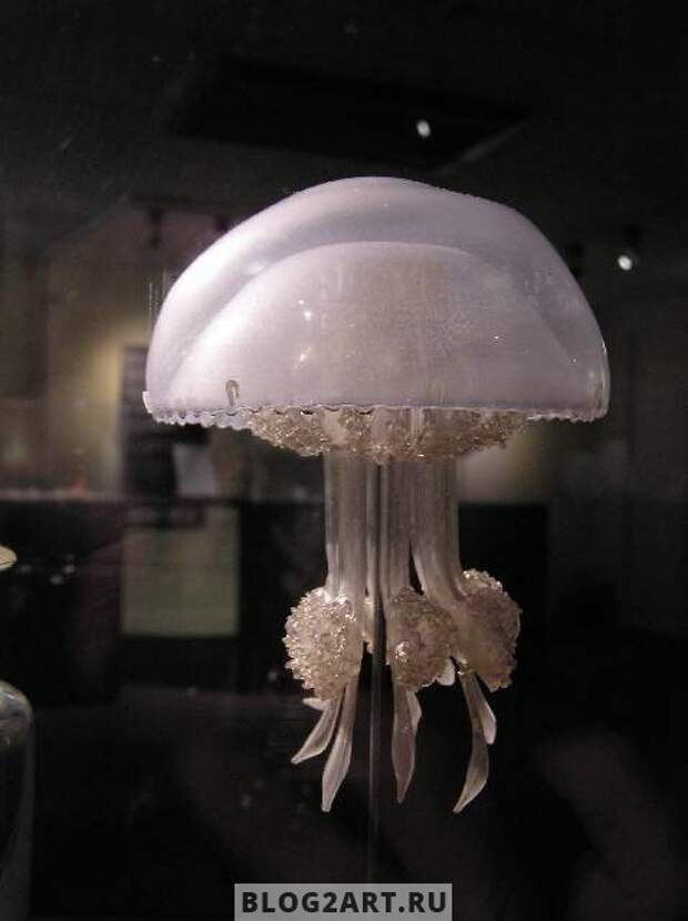 JellyFish002