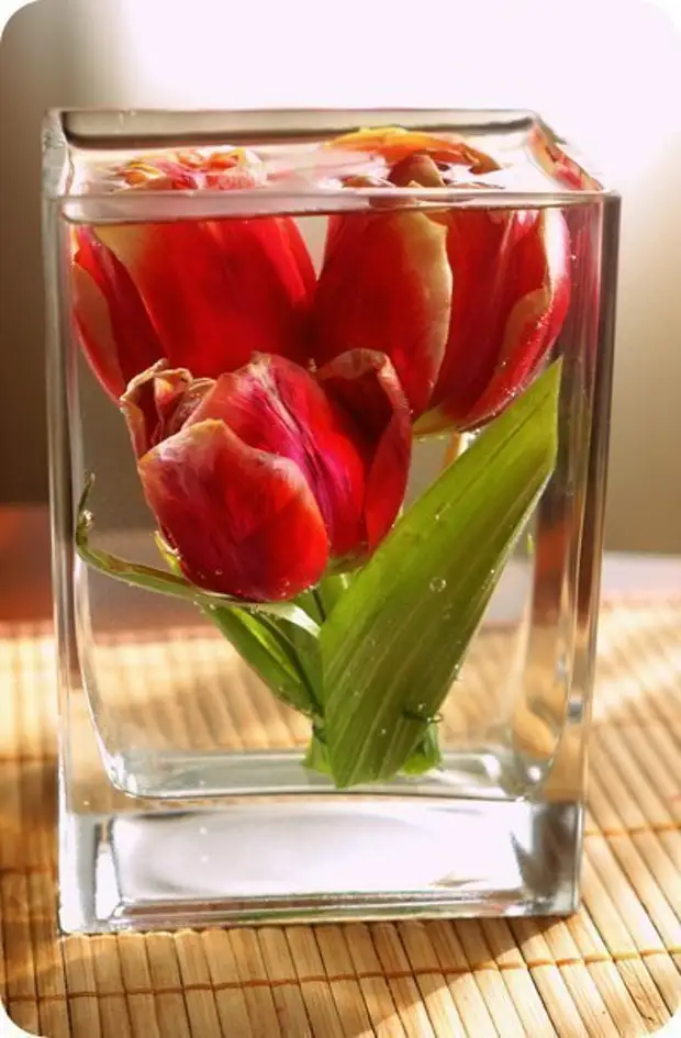Как сохранить дольше свежие тюльпаны в вазе. Цветы в глицерине. Букеты в глицерине. Тюльпаны в глицерине.