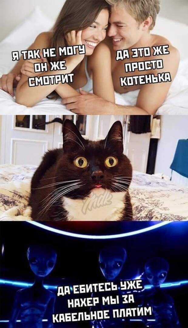 картинок тут 